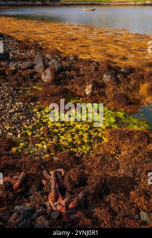 Küste von Orasay am Loch Sealg auf der Isle of Lewis, Schottland Stockfoto