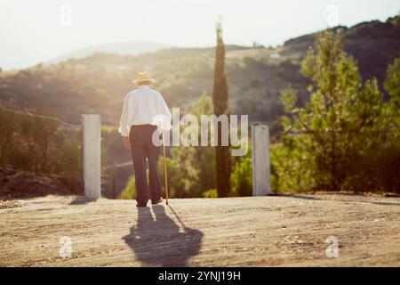 Ein älterer Mann mit Strohhut geht auf einem von Bäumen umgebenen Feldweg weg weg und genießt die ruhige Atmosphäre eines Sonnenuntergangs. Das warme Licht wirft lange s Stockfoto