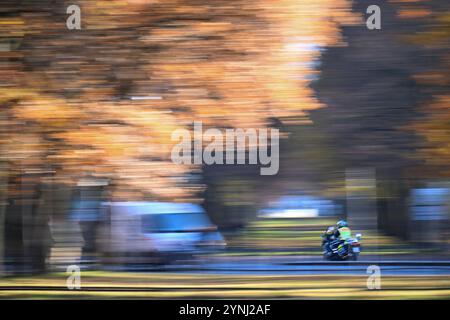 26. November 2024, Berlin: Ein Polizist auf einem Motorrad fährt durch den Tiergarten auf der Straße des 17. Foto: Sebastian Gollnow/dpa Stockfoto