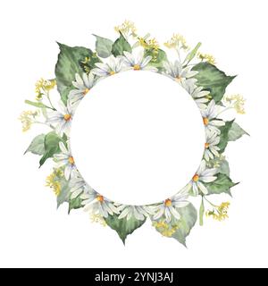 Blumensommerkranz mit weißen Kamillenblüten und grünen Lindenzweigen Aquarellillustration. Handgezeichneter Rahmen Waldbaumblätter, Feld Gänseblümchen f Stockfoto