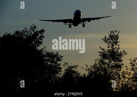 Flugzeug Flugzeug Landung Flugzeug Nähert Sich Flugzeug Jetliner Passagierflugzeug Annäherungsflug Flug Sonnenuntergang Sonnenuntergang Dämmerung Dunkelheit Über Bäumen Stockfoto