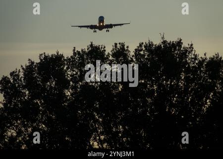 Flugzeug fliegendes Flugzeug über Bäumen Flugzeugflugzeug Jetliner Passagier Jet Airliner Anflug auf Berlin Sonnenuntergang Sonnenuntergang Dämmerung Abend Stockfoto