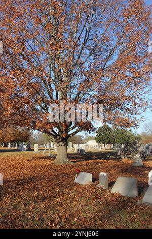 Herbst auf dem Historic Oakwood Cemetery in Tyler, Texas Stockfoto