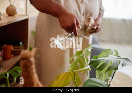 Nahaufnahme einer nicht erkennbaren afroamerikanischen Seniorin, die exotische Pflanzen zu Hause bewässert und Glasbewässerung hält, kann Raum kopieren Stockfoto