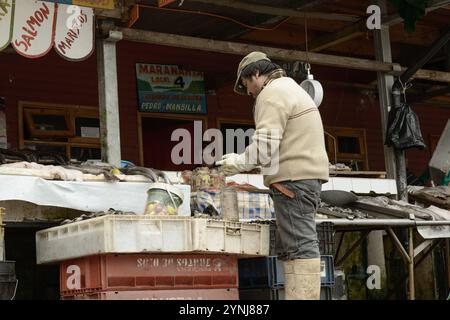 Ein Fischer verkauft frischen Fang an einem Stand auf dem Puerto Montt Market Stockfoto