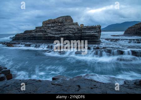 Australien, Tasmanien, Eaglehwk Neck, Forestier Peninsula, Tessellierter Pflaster Stockfoto