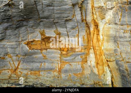 Australien, Tasmanien, Eaglehwk Neck, Forestier Peninsula, Tessellierter Pflaster Stockfoto