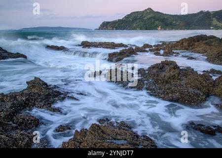 Neuseeland, Nordinsel, Coromandel Peninsula, Kuaotunu Beach, Stockfoto