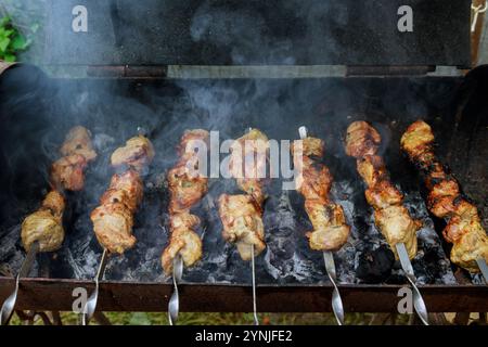 Saftige Spieße, die an sonnigen Tagen über rauchiger Holzkohle im Hinterhof grillen Stockfoto
