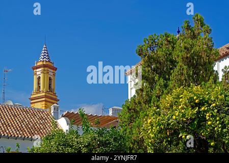 Plaza de las Flores, Orangenbaum, Turm, Kirche, Iglesia Santa María de los Remedios, 18. Jahrhundert Stockfoto