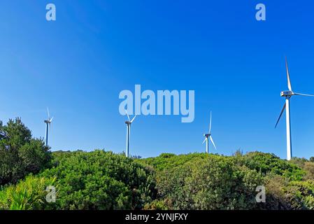 Windpark, Windräder, Casares Parque Eolico Stockfoto