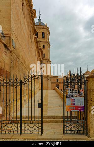 Kirche, Collegiata de San Patricio, Pforte Stockfoto