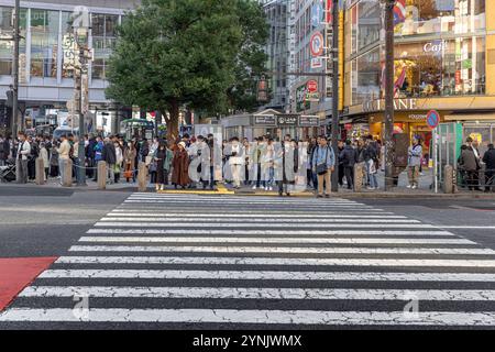 Eine Menge japanischer Leute wartet an einem Crosswalk in shibuya tokio, japan Stockfoto