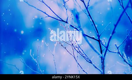 Die dünnen, gekrümmten Äste des Baumes sind mit einer dünnen Schicht weißen Frosts bedeckt. Leichte, wunderschöne Schneeflocken ziehen vom Himmel herunter und tragen zur F Stockfoto