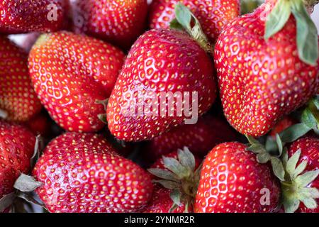 Frische reife Erdbeeren – Nahaufnahme roter Sommerfrüchte Stockfoto