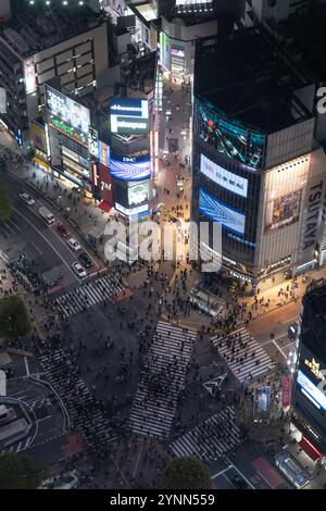 Tokio, Japan - 28. März 2023: Aus der Vogelperspektive von Menschen, die nachts durch die berühmte Shibuya-Kreuzung in Tokio laufen. Ginza, Shibuya Sky Building Stockfoto