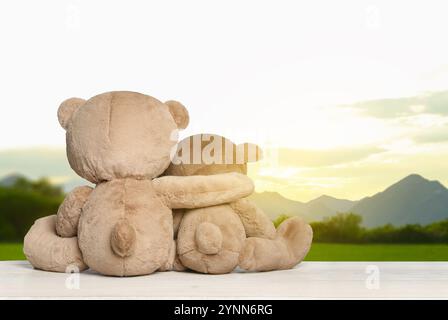 Umarmte Teddybären auf hölzernem Untergrund mit Blick auf die malerische Berglandschaft, Rückblick. Leerzeichen für Text Stockfoto