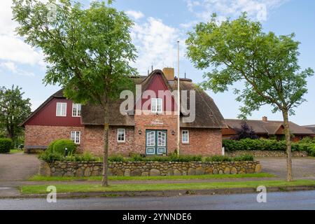 Typisches friesisches Haus mit Schilf Stockfoto