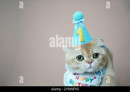 Eine niedliche Katze, die ihren ersten Geburtstag feiert, trägt einen blauen Partyhut mit einer goldenen „1“ und einem farbenfrohen „Happy Birthday“-Lätzchen. Seine ausdrucksstarke grüne Eyes-Anzeige Stockfoto