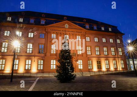 Aussenansicht des Landtags von Rheinland-Pfalz mit Weihnachtsbaum davor 26.11.24 *** Außenansicht des landtags von Rheinland-Pfalz mit Tannenbaum vorne 26 11 24 Stockfoto