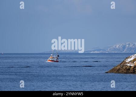 Øksfjord, Norwegen - 21. März 2024: Kleines norwegisches Handelsschiff, das während des geschäftigsten kabeljaufisches von Skrei vom Meer aus in den Hafen von Øksfjord zurückkehrt Stockfoto