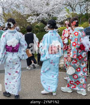 Sakura-Kirschblüte in Japan. Junge Frauen in traditionellen japanischen Kleidern gehen auf der Straße, Rückansicht. Stockfoto