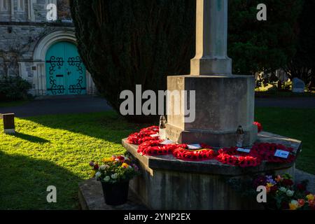 Mohnblumen und Kränze des Kreuzes der Opfer auf dem Old Cemetery in der Common in Southampton, Hampshire, England, Großbritannien Stockfoto