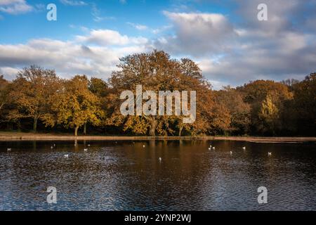 Southampton Common idyllischer Stadtpark - der See für Bootstouren in herbstlicher Pracht, Herbst 2024, Southampton, Hampshire, England, UK Stockfoto