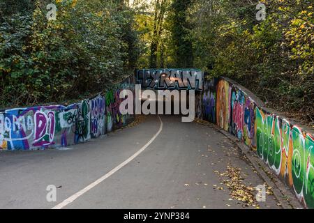 Farbenfrohe Graffiti-Kunst an den Wänden entlang des Weges unter der Avenue-Unterführung im Common Park in Southampton, Hampshire, England, Großbritannien Stockfoto