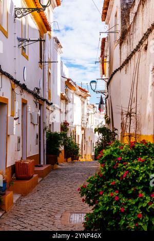 Traditionelle portugiesische Häuser und Kopfsteinpflasterstraße. Elvas, Alentejo, Portugal, Europa Stockfoto