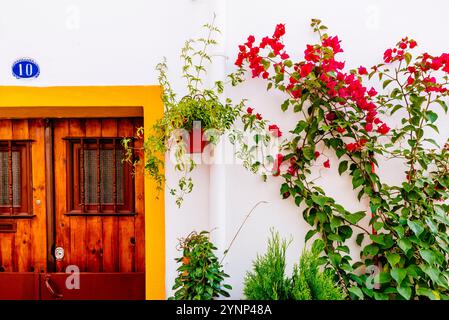 Detail der Fassade eines Hauses mit Bougainvillea. Elvas, Alentejo, Portugal, Europa Stockfoto