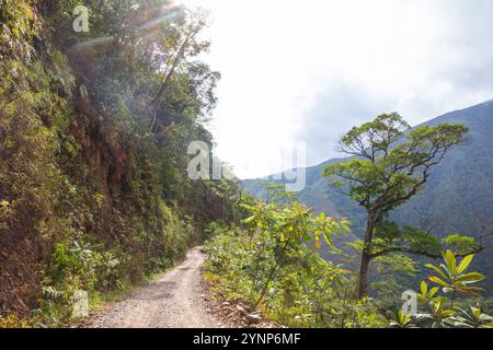 Berühmte Todesstraße, der „Camino de la Muerte“, in den bolivianischen Anden in der Nähe von La Paz Stockfoto