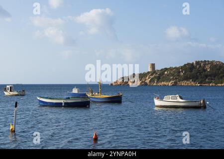 Fischerboote und Genueser Turm, Porto di Teulada, Südküste, Sardinien, Italien, Europa Stockfoto