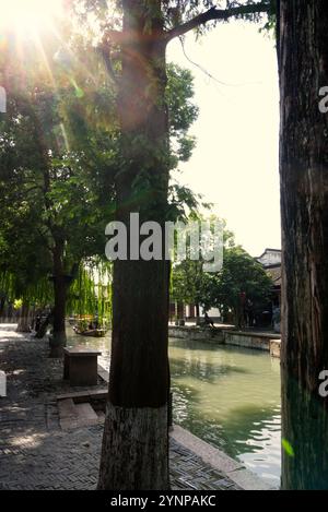 Spaziergang in der Wasserstadt Zhujiajiao Stockfoto