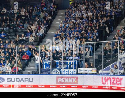 München, Deutschland. November 2024. Die mitgereisten Schwenninger Fans im Gaesteblock. GER, EHC Red Bull München vs. Schwenninger Wild Wings, Eishockey, DEL, 20. Spieltag, Saison 2024/2025, 26.11.2024. Foto: Eibner-Pressefoto/Heike feiner Credit: dpa/Alamy Live News Stockfoto