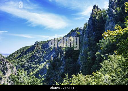 Ein Blick von den Felsen im Bode-Tal im Harz mit blauem Himmel im Sommer Stockfoto