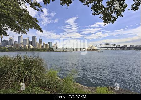 Skyline von Sydney mit Harbour Bridge und Opera House von Mrs Macquarie s Chair Stockfoto