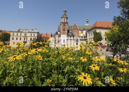 Wawel-Kathedrale, nationales Heiligtum Polen, Krakau, osteuropa Stockfoto