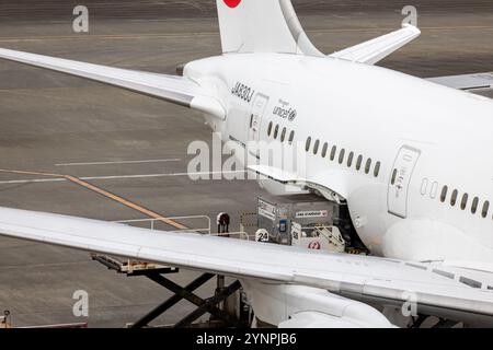 Frachtraum des Flugzeugs wird am Flughafen mit Fracht beladen Stockfoto