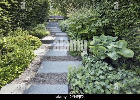 Der Weg von großen Steinplatten führt durch grüne Sträucher und Büsche zu einer hölzernen Parkbank, Burghausen, Oberbayern, Bayern, Deutschland, Europa Stockfoto
