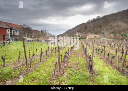 Weingut Bürger im Herbst. Kaysersberg, Elsass. Frankreich Stockfoto