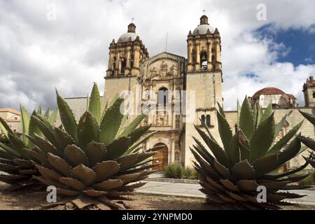 Die 1575 gegründete Kirche St. Domingo besteht aus verzierten Gipsstatuen und farbigen Stuckblumen. Oaxaca, Oaxaca. Mexiko Stockfoto