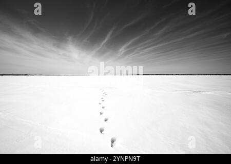 Winter, Fußabdrücke im Schnee, Schwarzweißbild, Provinz Quebec, Kanada, Nordamerika Stockfoto