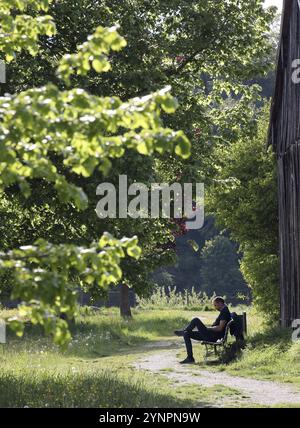 Junger Mann, der bei sonnigem Wetter entspannt auf einer Bank unter Bäumen sitzt und liest, Burghausen, Oberbayern, Bayern, Deutschland, Europa Stockfoto