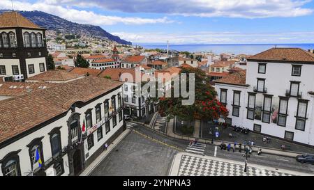 Blick von der Igreja do Colegio auf das Rathaus und die Praca do Municipio in Funchal Stockfoto