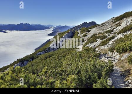 Blick vom Berg auf die geschlossene Nebeldecke in einem Tal der Chiemgauer Alpen mit dem Sonntagshorn, Hochstaufen, Oberbayern, Bayern, Deutschland, Eur Stockfoto