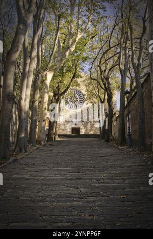 Foto auf dem Weg bis zu der Kathedrale von San Giusto Martire aufgenommen in Triest spät zu einem Sommertag. HDR mit künstliche Vignettierung Stockfoto