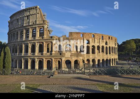 Blick auf das Kolosseum vom Forum Romanum an einem sonnigen Tag und mit Besuchern im Kolosseum Stockfoto