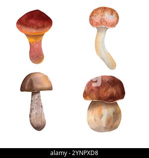 Set von Speisepilzen. Aquarell Waldpilze Birkenbolete, Stachelpilz, Butterpilz und Honigpilz. Handgezeichnet für Ihr Design Stockfoto