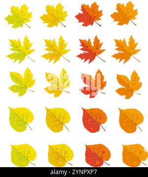 Set des Herbstes die Blätter von Ahorn und Obstgarten Stock Vektor